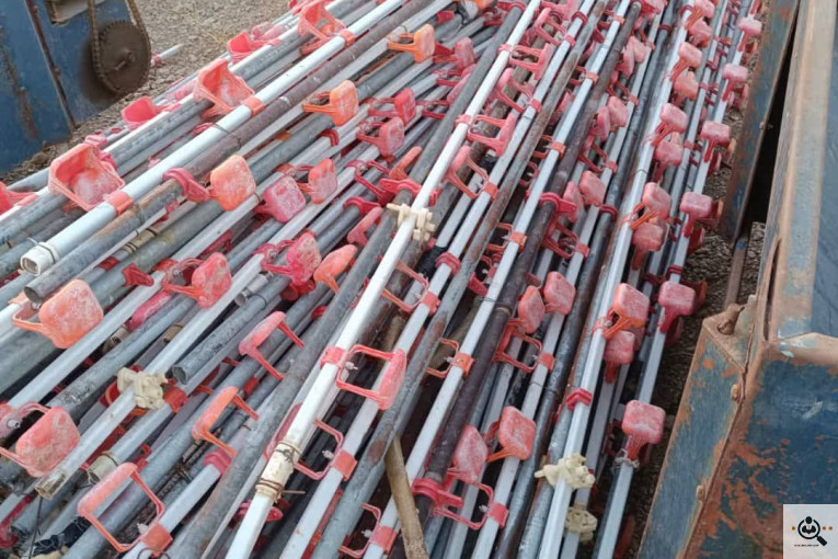 تجهیزات مرغداری انبوه طیور در قزوین