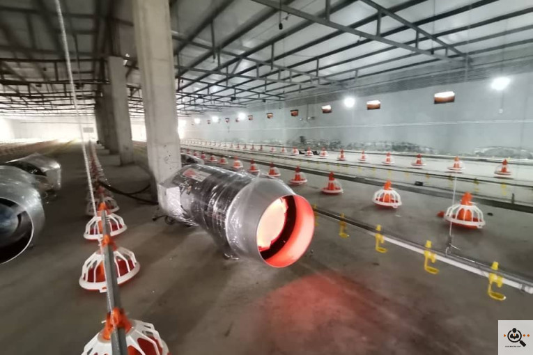 تجهیزات مرغداری انبوه طیور در قزوین