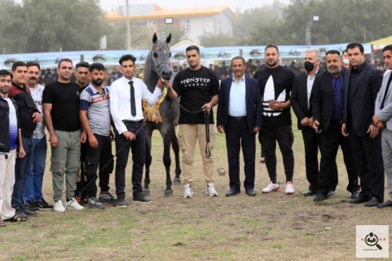 مجموعه پرورش اسب تالیسمان در اصفهان