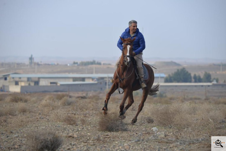 باشگاه سوارکاری سمند کوهساران در قائمشهر