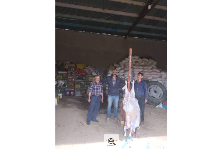 صادرات میوه و تره بار سیب زمینی شعبانی در همدان