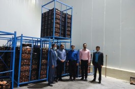 صادرات و سردخانه میوه ۳ هزار تنی عبدالخانی در الوان