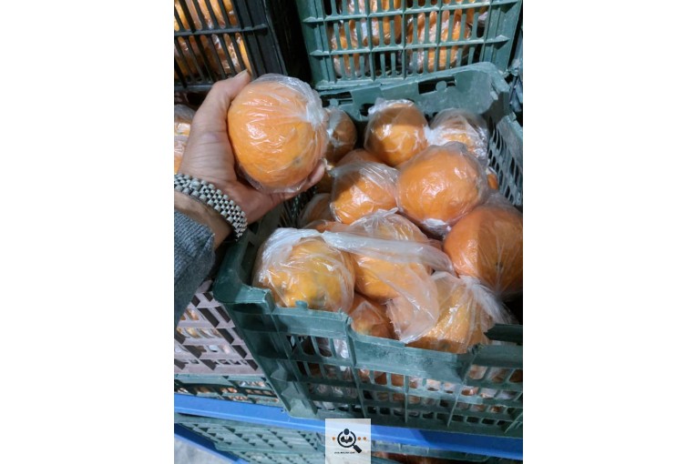 صادرات و سردخانه میوه ۳ هزار تنی عبدالخانی در الوان