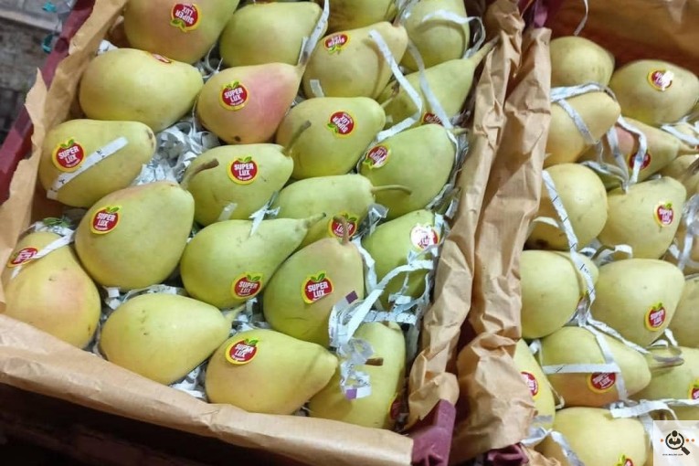 بارفروشی میوه و تره بار علیزاده فروت در شیراز