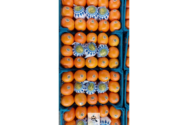 صادرات میوه و صیفی جات شرکت ساناز تجارت امن در کرج
