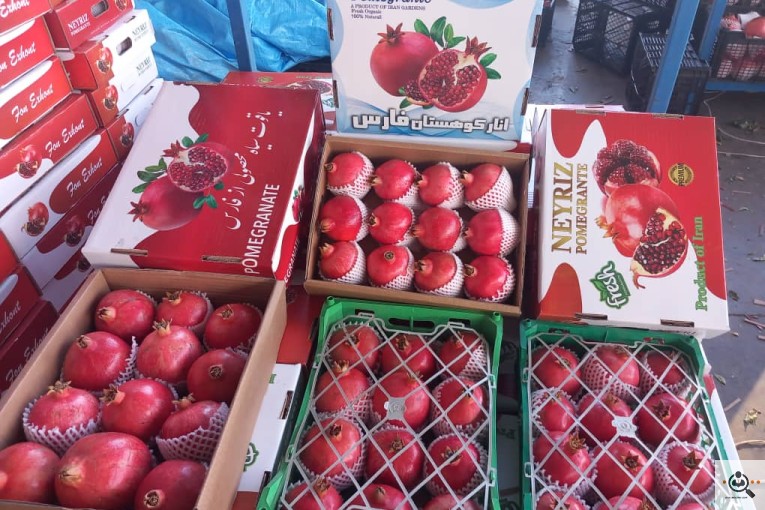 صادرات میوه و صیفی جات شرکت ساناز تجارت امن در کرج