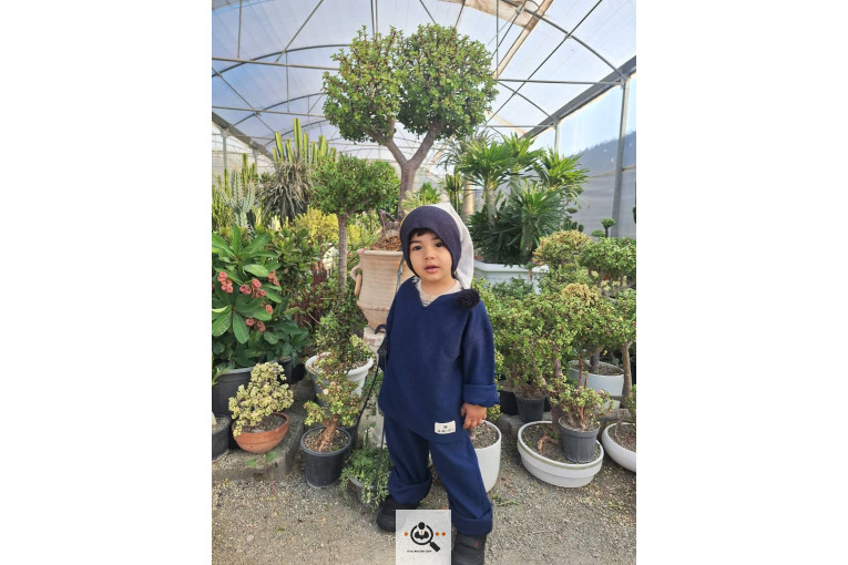 گلخانه کاکتوس کرمانشاه در کرمانشاه