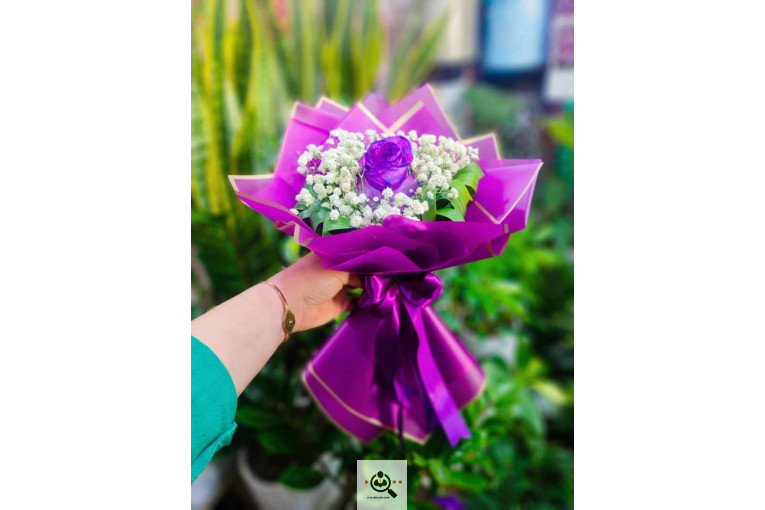 گلسرای پامچال در شیراز