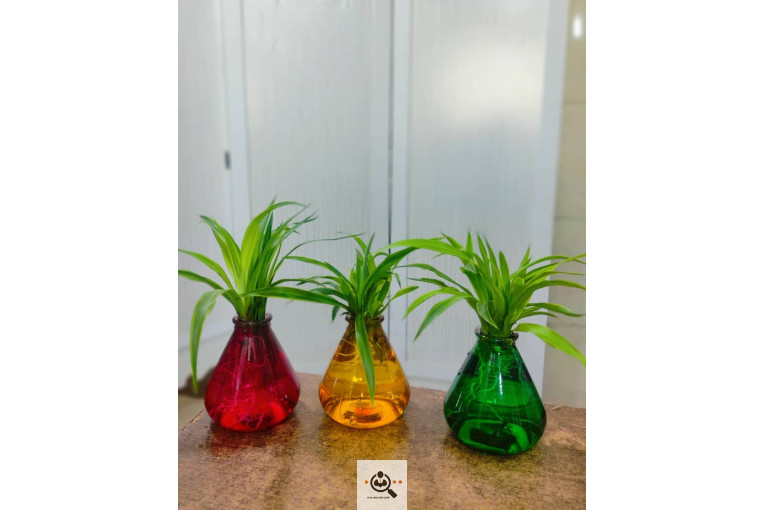 گلسرای پامچال در شیراز