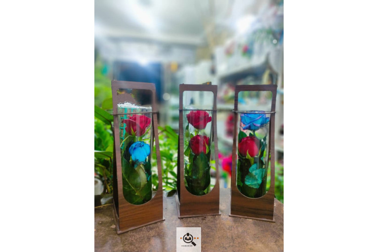 گلسرای پامچال در شیراز