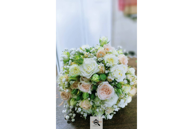 گلسرای پامچال در شیراز