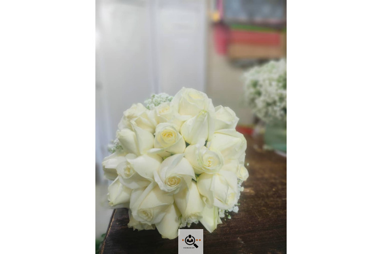 گلسرای پامچال در شیراز