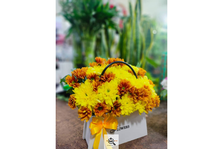 گلسرای پامچال در شیراز