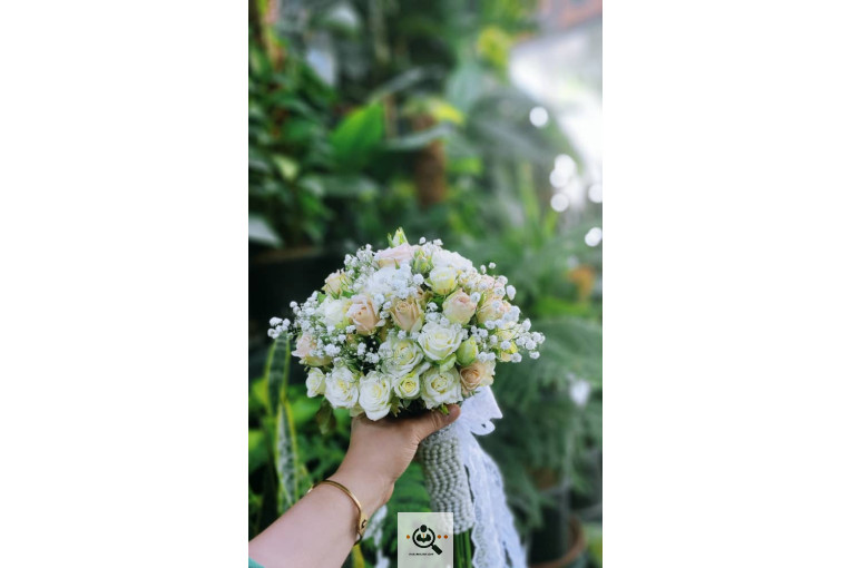 گلسرای پامچال در شیراز