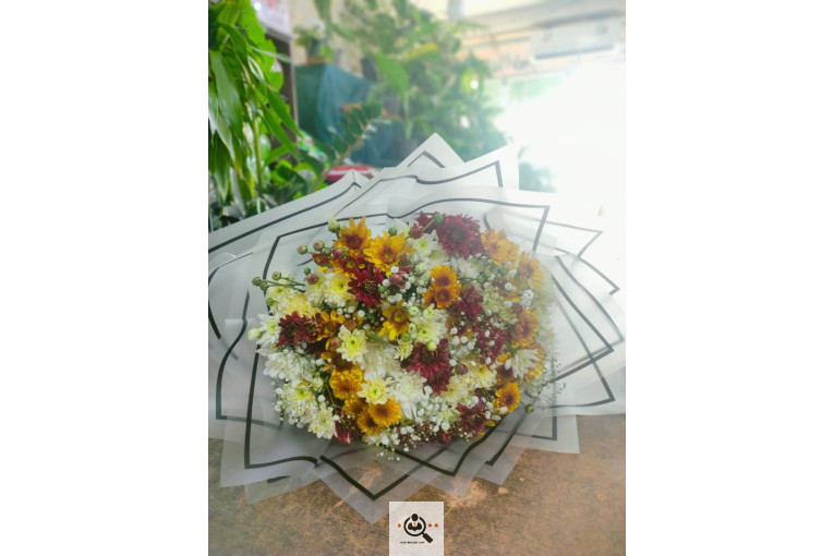 گلسرای پامچال در شیراز