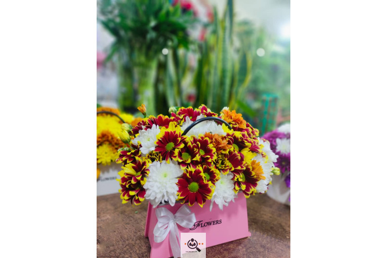 گلسرای پامچال در شیراز