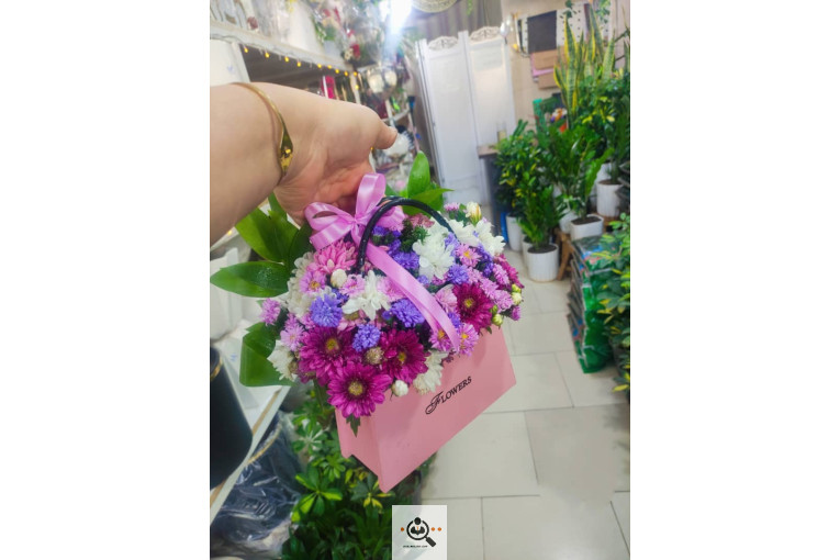 گلسرای پامچال در شیراز