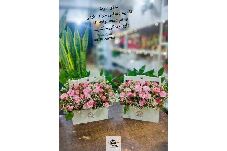 گلسرای پامچال در شیراز