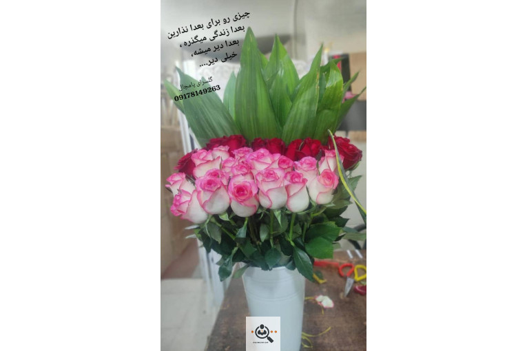 گلسرای پامچال در شیراز