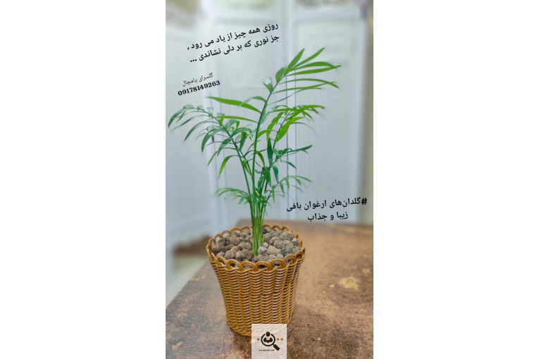 گلسرای پامچال در شیراز