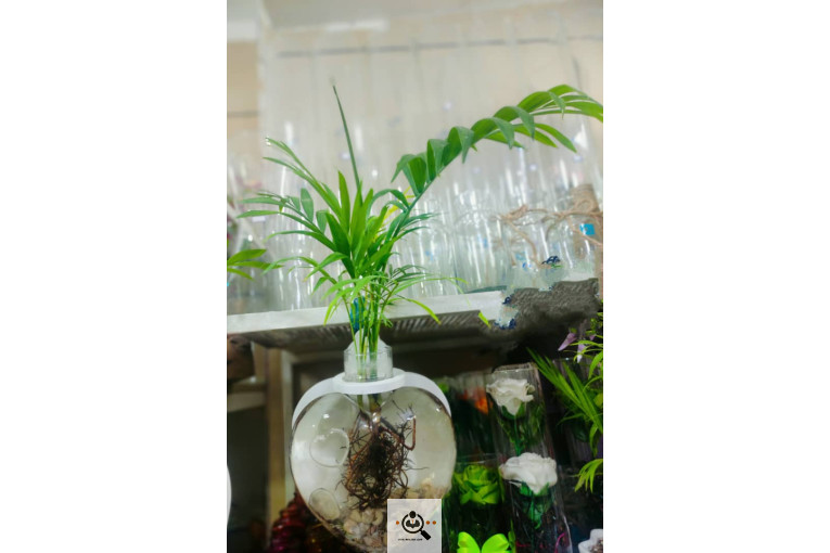 گلسرای پامچال در شیراز