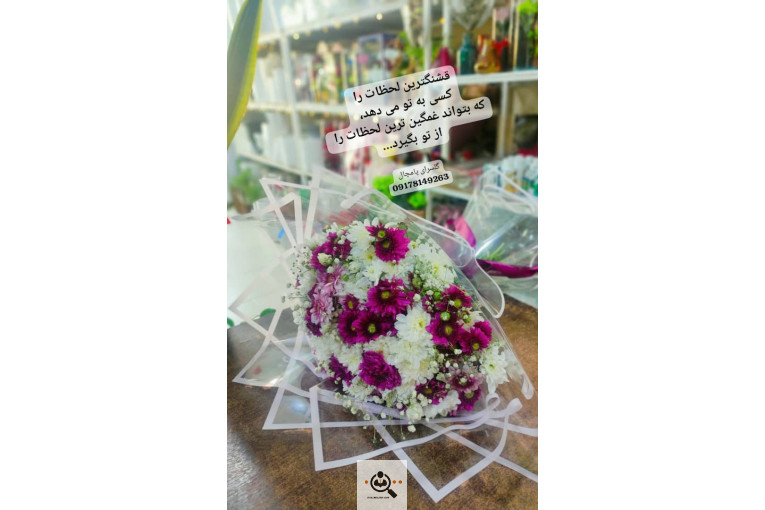 گلسرای پامچال در شیراز