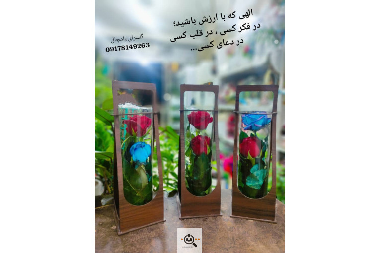 گلسرای پامچال در شیراز