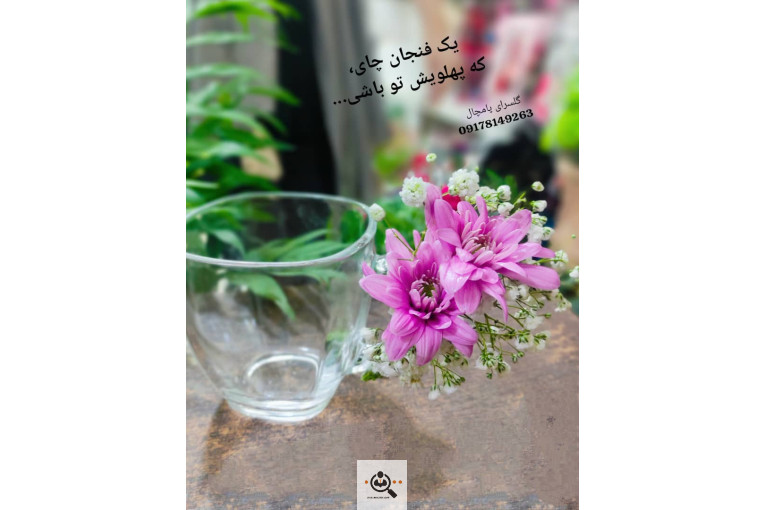 گلسرای پامچال در شیراز