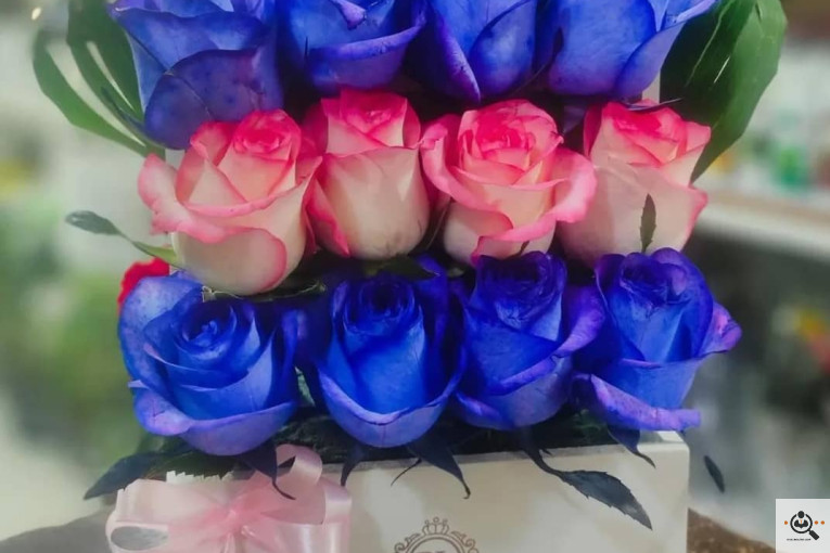 گلسرای پامچال در شیراز