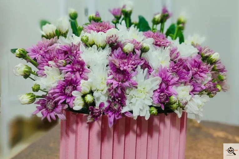 گلسرای پامچال در شیراز