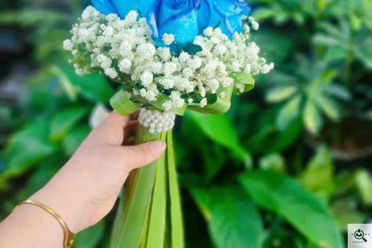 گلسرای پامچال در شیراز