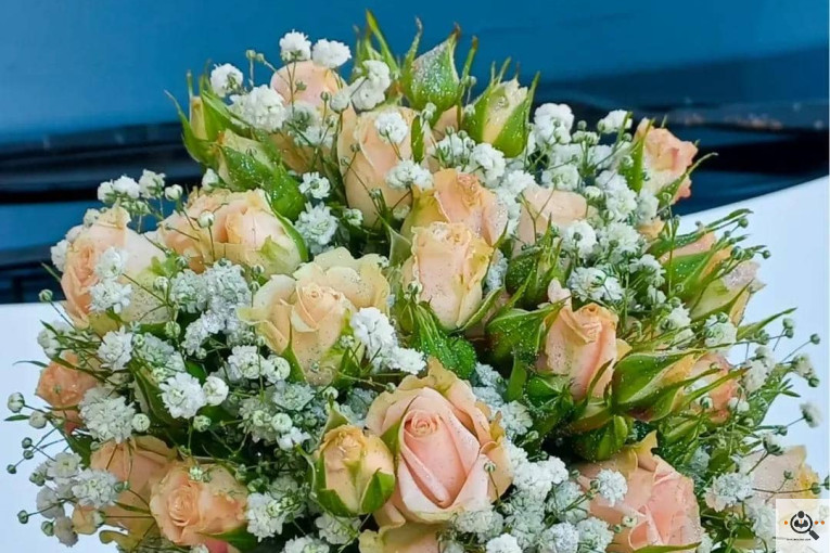 گلسرای پامچال در شیراز