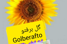 آجیل و خشکبار ملکوتی در نهاوند