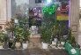 نمایشگاه گل و گیاه تیام در کرج