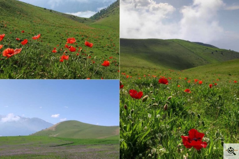 هتل رستوران توریستی و گردشگری (ناوان) در تالش