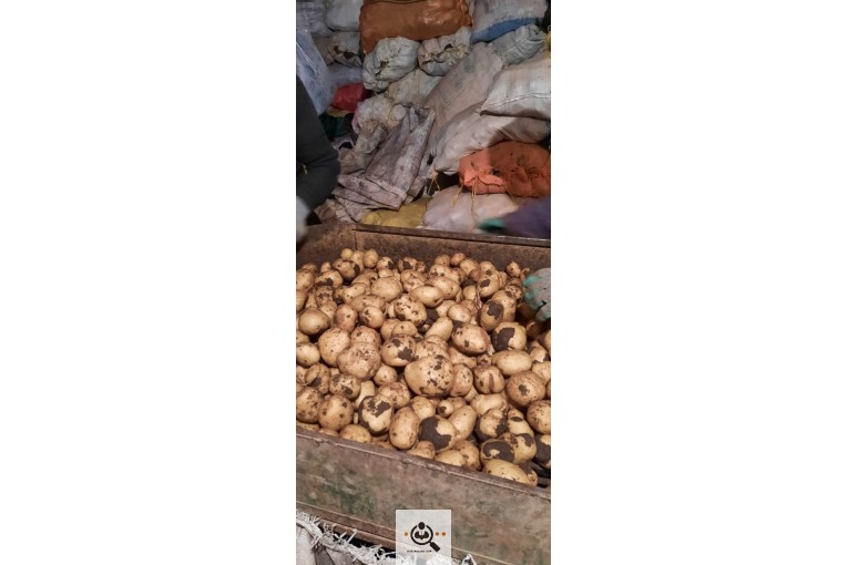 صادرات و بازرگانی محصولات کشاورزی رضا هوشدار در بهار همدان