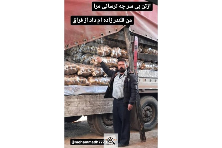 صادرات و بازرگانی محصولات کشاورزی رضا هوشدار در بهار همدان