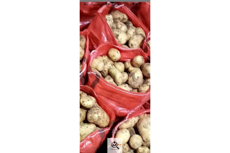 صادرات و بازرگانی محصولات کشاورزی رضا هوشدار در بهار همدان