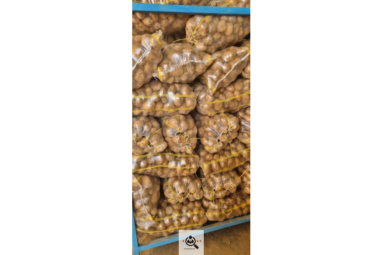 صادرات و بازرگانی محصولات کشاورزی رضا هوشدار در بهار همدان