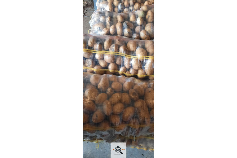 صادرات و بازرگانی محصولات کشاورزی رضا هوشدار در بهار همدان