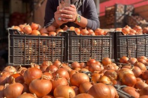بارفروشی میوه و تره بار برادران اکبری در مشهد