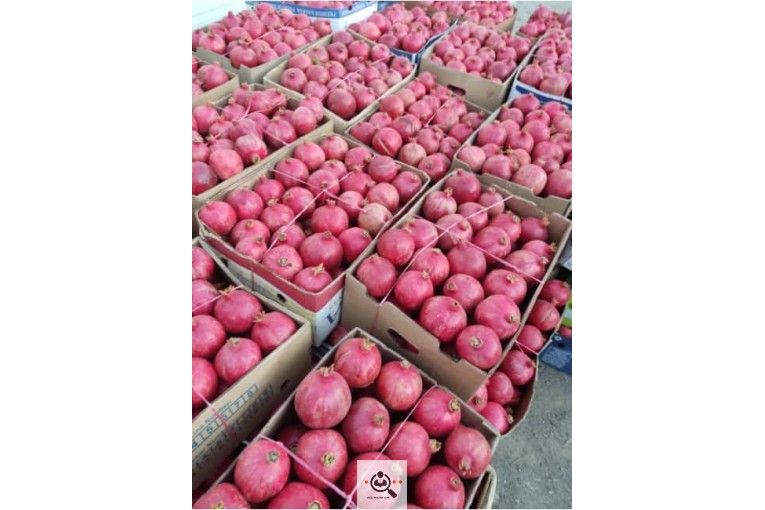 خرید و فروش میوه و محصولات کشاورزی عظیم پور در ابرکوه