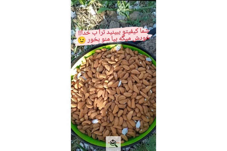 خشکبار سرای مغز بادام ایرانی در شهر سامان چهارمحال بختیاری