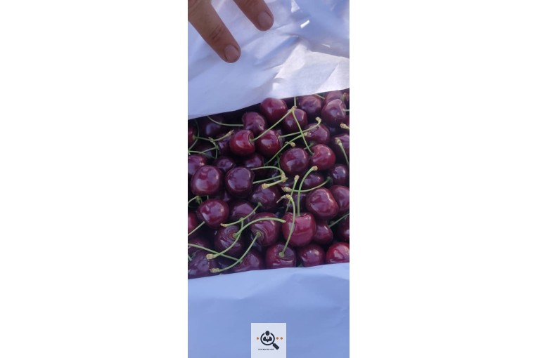 بارفروشی و صادرات میوه و تره بار جهانگیر منصور در اشنویه