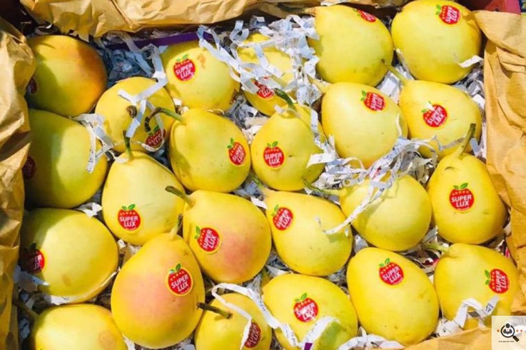 میوه و تره بار ملکی در تهران