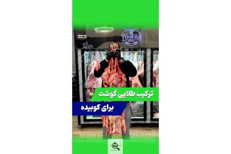 رستوران پَلاتیم در چالوس مازندران
