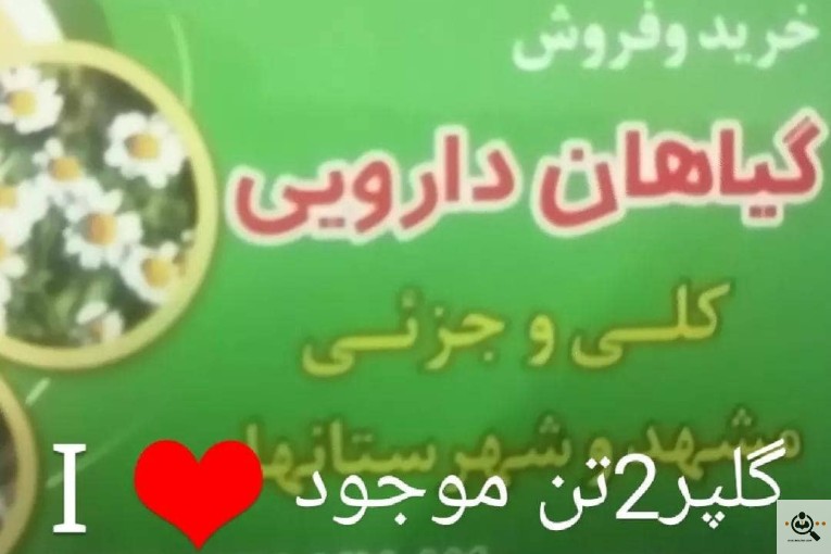 پخش و فروش گیاهان عرق گیری غلامی در مشهد