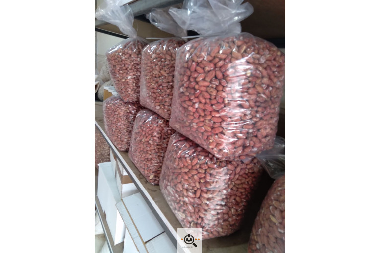 کارگاه بادام زمینی استاد شهریار در پارس آباد اردبیل