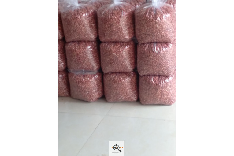 کارگاه بادام زمینی استاد شهریار در پارس آباد اردبیل