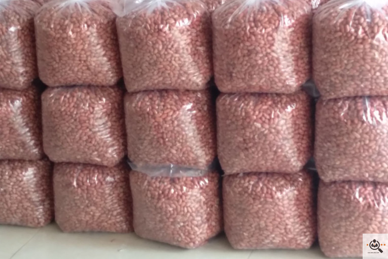 کارگاه بادام زمینی استاد شهریار در پارس آباد اردبیل